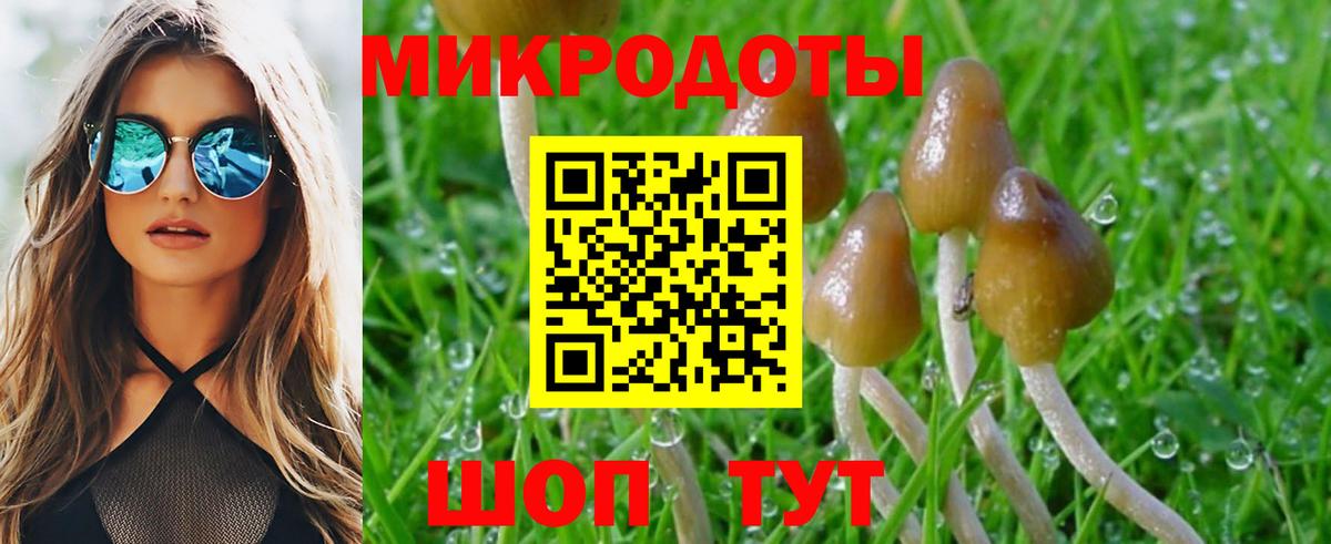 Псилоцибиновые грибы MAGIC MUSHROOMS  Вход с VPN  Самара 