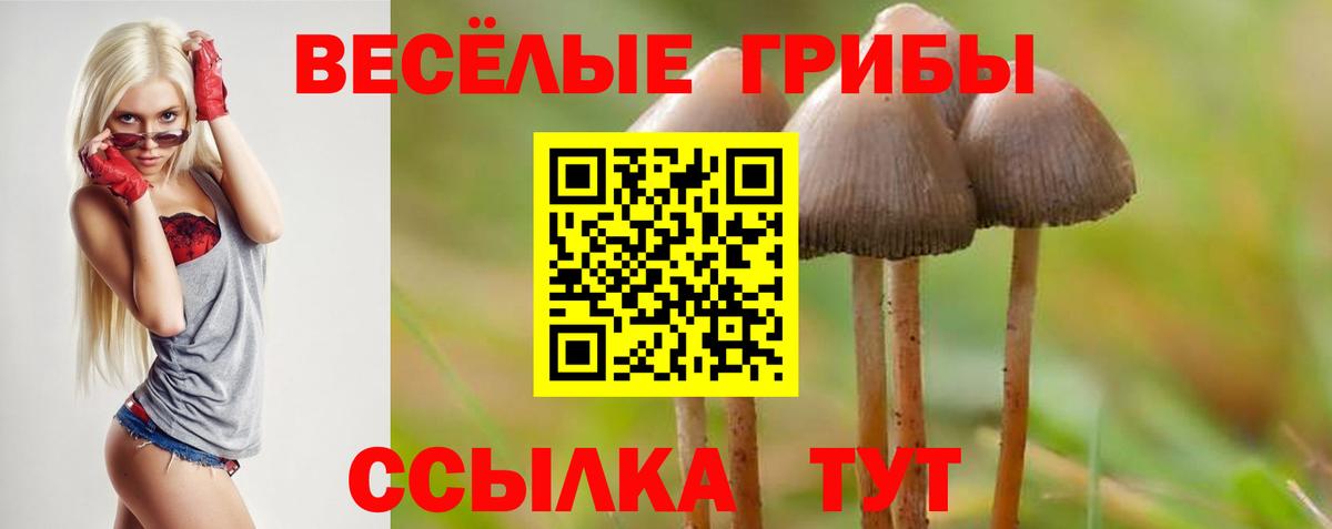 Псилоцибиновые грибы Psilocybine cubensis Самара